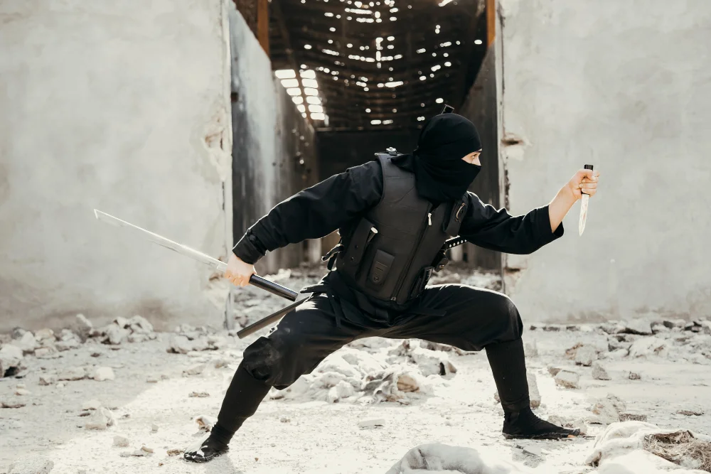 5 de diciembre: Día Internacional del Ninja